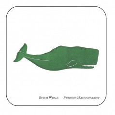 Whale Coaster - Sperm Whale